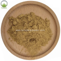 Supply Pure Natural Organic bilberry extract powder